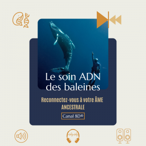"Le Soin ADN des Baleines" CANAL 8D®
