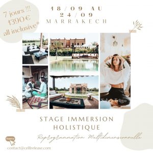 Stage Immersion Holistique - Marrakech